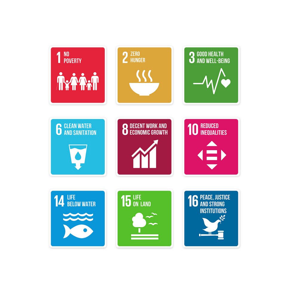 Icons of nine United Nations Sustainable Development Goals.