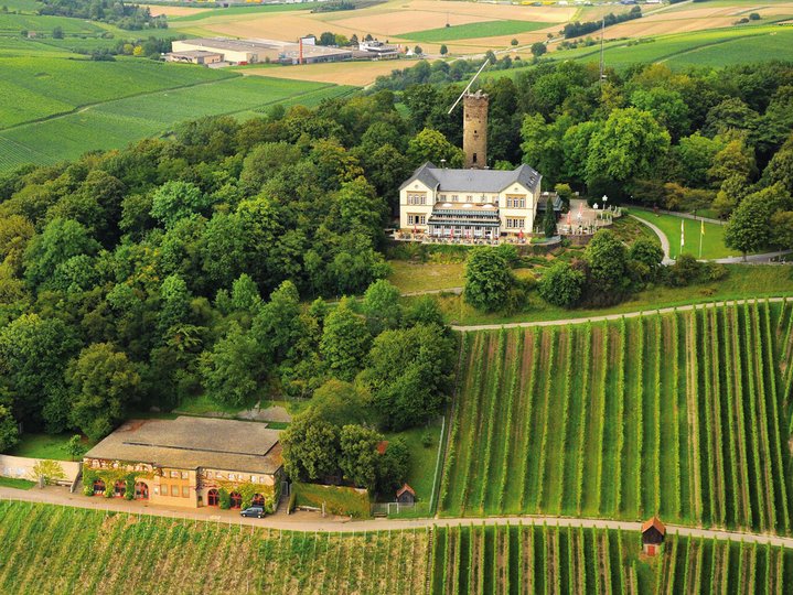 Drone view of the Wartberg and the surrounding vineyards in Heilbronn.